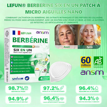 Magasin Officiel | 𝑳𝑬𝑭𝑼𝑵®𝟲-𝗶𝗻-𝟭 Patch à Micro-Aiguilles Nano Fit & Vital Tout-en-Un à la NAD+ et Berbérine (Une Par Jour, Changements Visibles en 7 Jours)
