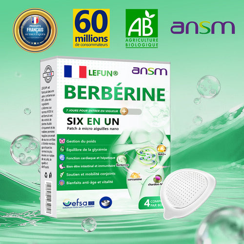 Magasin Officiel | 𝑳𝑬𝑭𝑼𝑵®𝟲-𝗶𝗻-𝟭 Patch à Micro-Aiguilles Nano Fit & Vital Tout-en-Un à la NAD+ et Berbérine (Une Par Jour, Changements Visibles en 7 Jours)