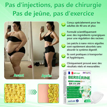 Magasin Officiel | 𝑳𝑬𝑭𝑼𝑵®𝟲-𝗶𝗻-𝟭 Patch à Micro-Aiguilles Nano Fit & Vital Tout-en-Un à la NAD+ et Berbérine (Une Par Jour, Changements Visibles en 7 Jours)