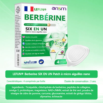 Magasin Officiel | 𝑳𝑬𝑭𝑼𝑵®𝟲-𝗶𝗻-𝟭 Patch à Micro-Aiguilles Nano Fit & Vital Tout-en-Un à la NAD+ et Berbérine (Une Par Jour, Changements Visibles en 7 Jours)